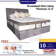Dreamland Chiro Ideal 11.5" Mattress Miracoil Spring FOC 2 Bantal Dreamland Besar Tilam