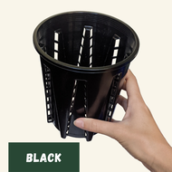 Sprout lab | Anti Spiral Plant Pot | Black &amp; Clear | for Aroids and Orchids | High Drainage and Aeration for healthy root development