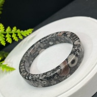 精品 化石海螺手鐲 58MM 斑彩方條復古風 天然意境奇石 吉祥圓滿