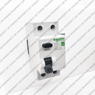 Schneider Rccb Economical Easy9 2P 25A 30Ma Ez9R04225