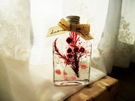 【可客製化雷射文字】浮游花酒瓶浮游花客製化浮游花