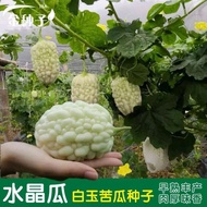 苹果苦瓜，苹果苦瓜种子，水晶苦瓜，苦瓜种子，种子，Pingguo bitter gourd, crystal bitter gourd, bitter gourd seed, seed