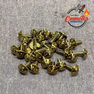 SCREW GOLD (1PC) M5 SCREW COVER SET M5