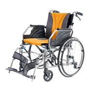 Bion iLight Wheelchair Detachable L700 18 inch seat | Flip-up Armrests Foldable Backrest Detachable