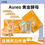 Aureo Golden Black Yeast Lactic Acid Bacteria Hamster Rabbit Chinchilla Products Reduce Tumor Block 