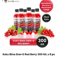 Image ENER-G RED BERRY 300ml 1 CRTN 6 PCS Nails