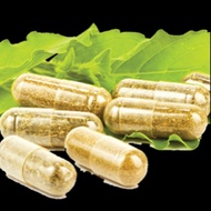 1000 halal  peria katak kapsul