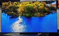 LG 55吋 55inch 55吋 OledC2 EVO Oled 4K 120hz smart TV 電視
