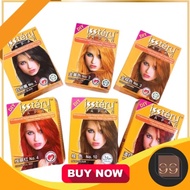 Issteru Hair Dye Japan DIY Hair Colour Cream/Perwarna Rambut Halal Sah Solat 25ml Kaler Rambut