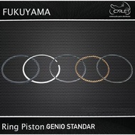 Fukuyama PistonRing / Genio PistonRing