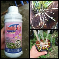 Phân bón lá cao cấp vitamin B1 Grofer B1 chai 1 Lít nhập Thái Lan