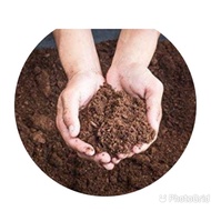 Woodside Lithuanian Peat Moss Peatmoss Premium Grade  Peat Moss  Buy 16L get 1L Free