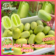 100% Original 10pcs Fresh Jade Girl Mini Cucumber Seeds for Planting Vegetables Plants High Yield Du
