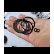 Brembo P34 caliper oil seal + dust seal