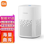 小米（MI） 小爱同学音箱Play蓝牙网络AI人工智能音响闹钟语音遥控wifi小艾迷你低音炮 小米小爱音箱 Play