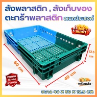 Low Plastic Crate 2 Green And Blue