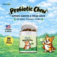 Probiotic 30 CHEW | Dog Supplement | Animal Dog Vitamins | Leryspets