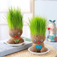 易囍艺 创意绿植长草娃娃巴西木桌面盆栽好养易活 长草娃娃1个+1底托 .