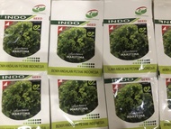 BENIH / BIBIT LETTUCE BATAVIA ENZA ZADEN INDOSEED "MARITIMA 1 GR"
