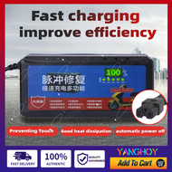Ebike Charger 48v 60v 12ah 20ah Smart Intelegent Intelligent Battery Charger For e Trike e Bike