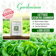 GARDENIUM Benih Lettuce Iceberg Common Selada Iceberg Unggul