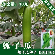 Ready Stock Immediate Shipping Vegetable Melon Seeds Vegetable Melon Seeds Vegetable Melon Seeds Veg