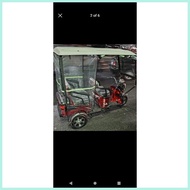 Trapal for ebike 008