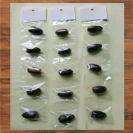 PALA (Rengceng) Original Kitchen Spices, 5 Packs