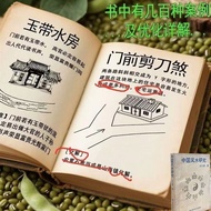 Processing Chinese Feng Shui Research by Hong Cynical Mo by Hubei Science Technology Publishing Hous