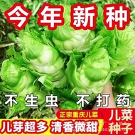 Cauliflower Seeds Hug Seeds Mustard Vegetable Seeds Seeds Seeds Baby Vegetables Green Vegetables Ori