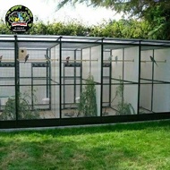pembuatan mini aviary untuk burung