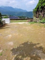 墓地《三芝合法墓地》有土地持分