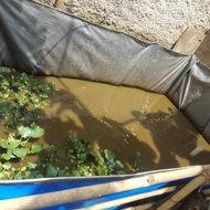 FISH POND TARP A12 UK 250X150X75 HC