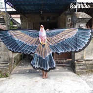 Layangan Burung Kain/Layangan Elang 3 Meter/Layangan 3 Dimensi
