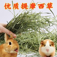 Guinea Pig Guinea Pig Pig Chinchilla Rabbit Guinea Pig Grass Food Feed Timothy Grass Timothy Grass 2