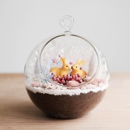 戀愛花禮小行星-多肉盆栽 DIY材料包 生態瓶 兔年 情人節禮物