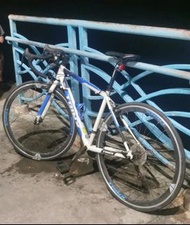 TrinX tempo 1.0 公路車 單車 入門