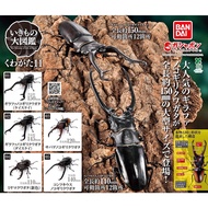Gashapon Beetle Pliers Bandai Kuwaita Stag Action Vol.11 Animal Model