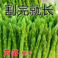 Asparagus Seeds High-Produced Year-Produced Asparagus Seeds Seasonal Vegetable Seeds Four Seasons Co