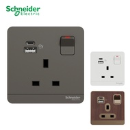 [SG Seller] Schneider AvatarOn 13A 3P 2 USB charger and switched socket Hotel Switch White Dark Gray