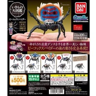 [Gashapon] Bandai Dango Mushi Peacock Spider Action V.01 (Complete Set Of 5 Figures)