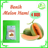 BENIH MELON HAMI / HAMIGUA ISI 4 BIJI