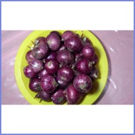 ☸ ◄ ✷ SIBUYAS NA PULA - RED ONION ( HALF KILO - 500GRAMS)
