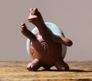 Tan Yuen Tai Chi Tortoise Aquarium  tank decoration by [3k Aquatic]