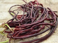 Asparagus purplish long  beans seed