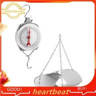 110 Lbs Large Display Hanging Scale with Scale Scoop Kitchen  Weight Scale Silver Industrial Spring 