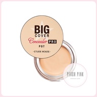 Etude House Big Cover Pot Concealer PRO