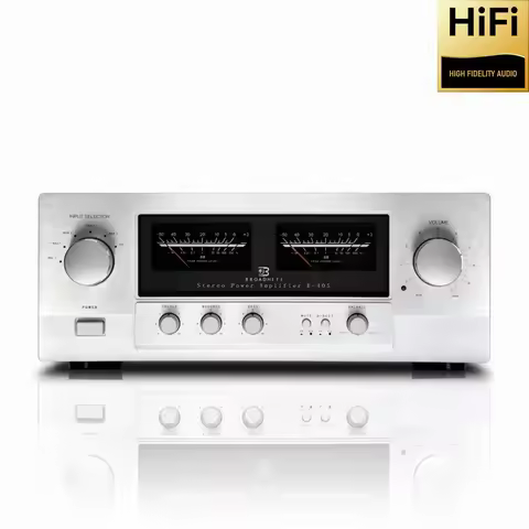 CHUBAN Reference Accuphase E405 Power Amplifier: High-Power Hi-Fi Amplifier with Imported Gold-Seale