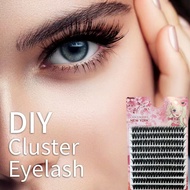 50D 60D 80D False Eyelashes Bouquet 9-16 mm30D 40D Thick EYELASH Extension Set DIY