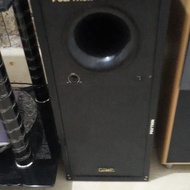 subwoofer Polytron PSW 500c
